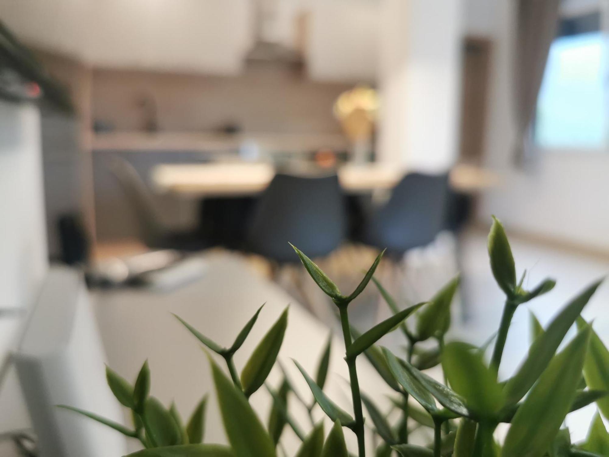 Apartma Bella Nadiza كوباريد المظهر الخارجي الصورة